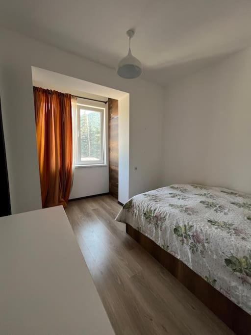 Ana'S Cosy Home In Borjomi Center Ngoại thất bức ảnh